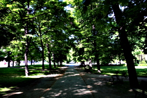 [Picture: A Walk in the Park 1]