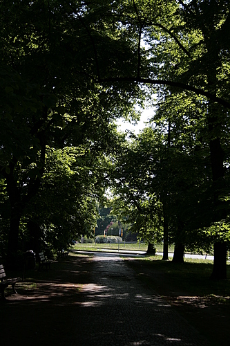 [Picture: A Walk in the Park 2]