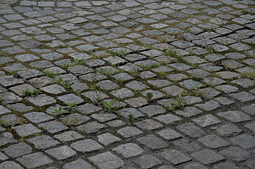 [Picture: Cobbles]