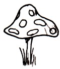 [Picture: Toadstool for an elf.]