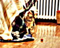 [Picture: Cosmos likes to play with this cat-toy. (Copyright CatamountClyde Studios 2001)]