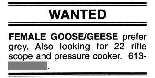 [Picture: Goose wanted]